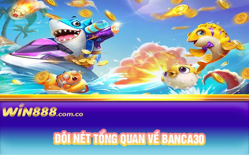 Đôi nét tổng quan về Banca30