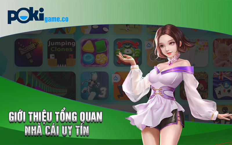 Giới Thiệu Tổng Quan Về Poki