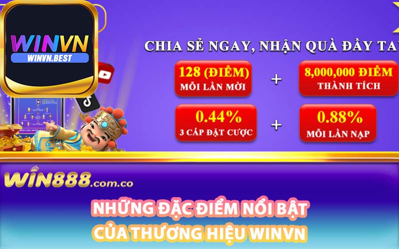 Những đặc điểm nổi bật của thương hiệu Winvn