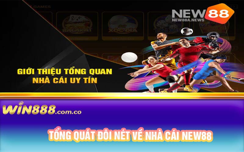 Tổng quát đôi nét về nhà cái New88