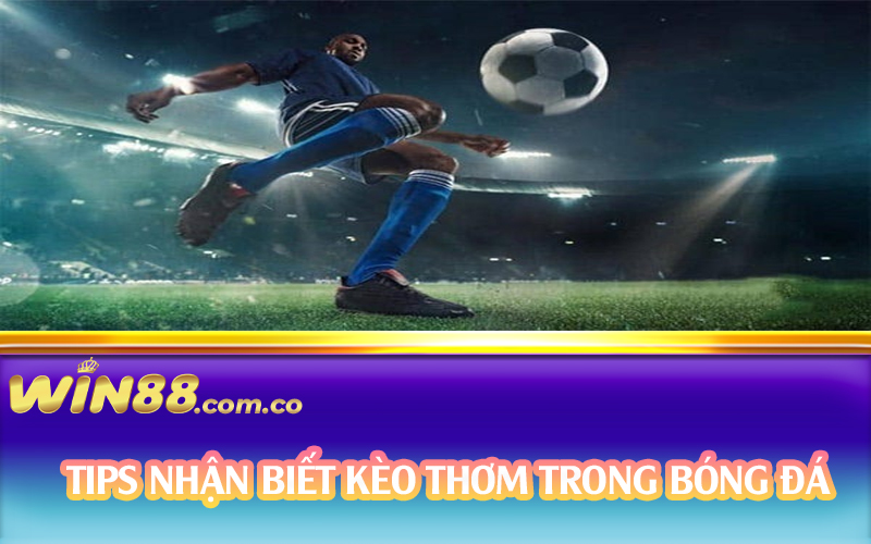 Tips nhận biết kèo thơm trong bóng đá